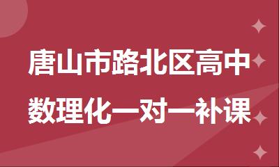 唐山市路北区高中数理化一对一补课强化机构