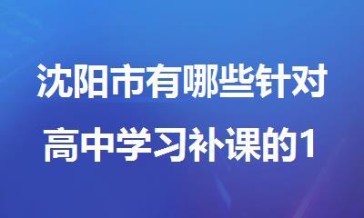 沈阳市有哪些针对高中学习补课的1对1小班辅导机构