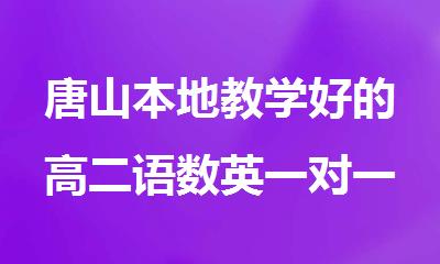 唐山本地教学好的高二语数英一对一单科辅导班