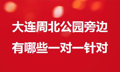 大连周北公园旁边有哪些一对一针对性强的补习学校