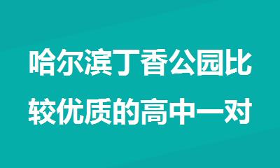 哈尔滨丁香公园比较优质的高中一对一补习班名单推荐
