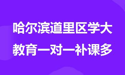 哈尔滨道里区学大教育一对一补课多少钱一小时