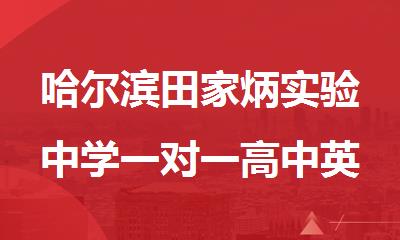 哈尔滨田家炳实验中学一对一高中英语暑假班推荐哪里