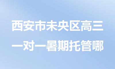 西安市未央区高三一对一暑期托管哪家强