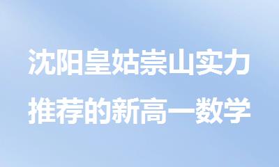 沈阳皇姑崇山实力推荐的新高一数学补课机构名单汇总