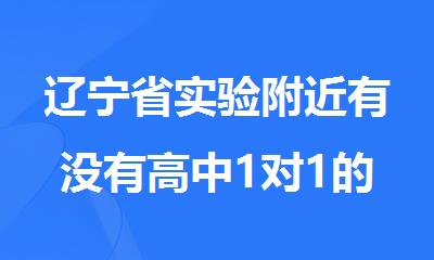 辽宁省实验附近有没有高中1对1的补习班
