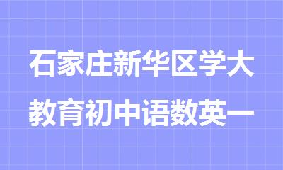 石家庄新华区学大教育初中语数英一对一补习班