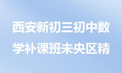 西安新初三初中数学补课班未央区精选名单