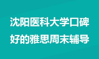 沈阳医科大学口碑好的雅思周末辅导机构