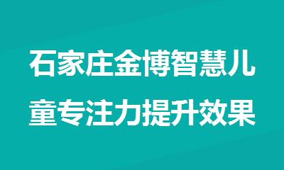 石家庄金博智慧儿童专注力提升效果怎么样