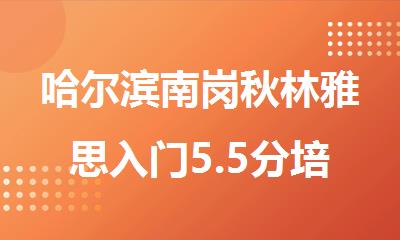 哈尔滨南岗秋林雅思入门5.5分培训班哪有