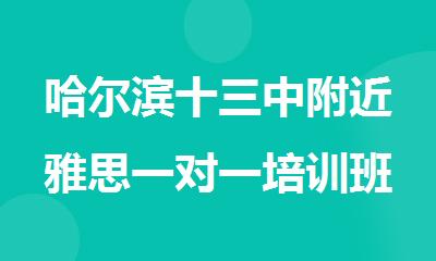 哈尔滨十三中附近雅思一对一培训班哪里师资好