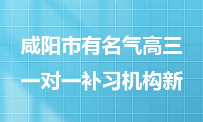 咸阳市有名气高三一对一补习机构新10大排名