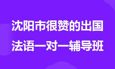 沈阳市很赞的出国法语一对一辅导班