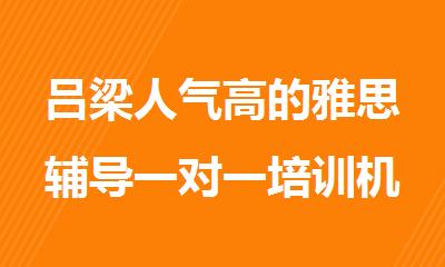 吕梁人气高的雅思辅导一对一培训机构