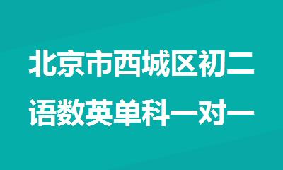 北京市西城区初二语数英单科一对一补课机构