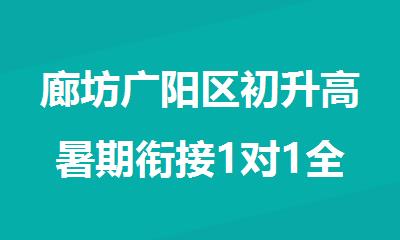 廊坊广阳区初升高暑期衔接1对1全科辅导机构