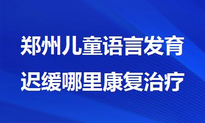 郑州儿童语言发育迟缓哪里康复治疗机构医师好