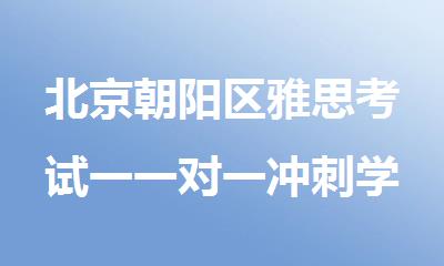 北京朝阳区雅思考试一一对一冲刺学校