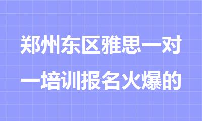 郑州东区雅思一对一培训报名火爆的机构名单精选出炉