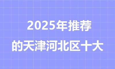  2025年推荐的天津河北区十大雅思培训机构排名精选