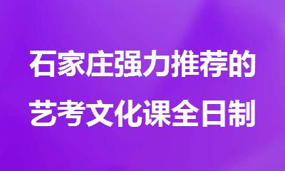 石家庄强力推荐的艺考文化课全日制冲刺辅导机构