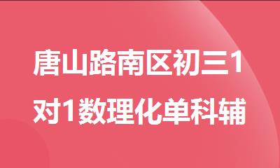唐山路南区初三1对1数理化单科辅导培训机构
