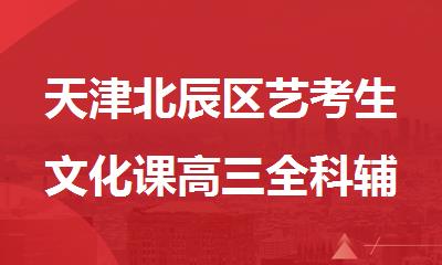 天津北辰区艺考生文化课高三全科辅导机构