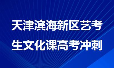 天津滨海新区艺考生文化课高考冲刺集训中心