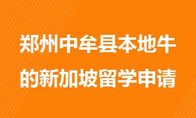 郑州中牟县本地牛的新加坡留学申请中介服务处介绍