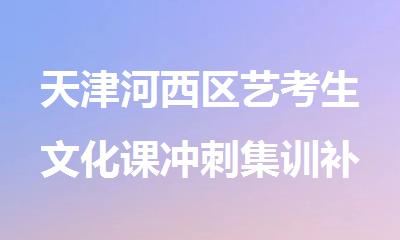 天津河西区艺考生文化课冲刺集训补习机构