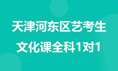 天津河东区艺考生文化课全科1对1辅导精品班