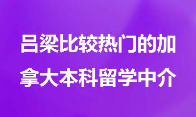 吕梁比较热门的加拿大本科留学中介今日预览