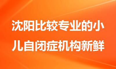 沈阳比较专业的小儿自闭症机构新鲜出炉