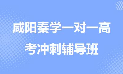 咸阳秦学一对一高考冲刺辅导班