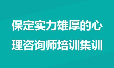 保定实力雄厚的心理咨询师培训集训营