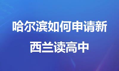 哈尔滨如何申请新西兰读高中