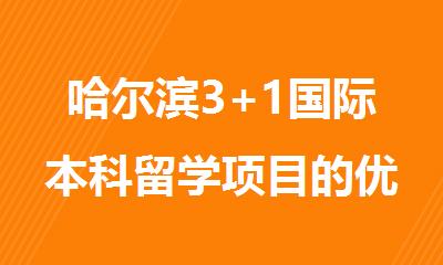 哈尔滨3+1国际本科留学项目的优势是什么