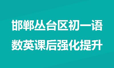 邯郸丛台区初一语数英课后强化提升周末班