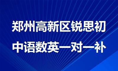 郑州高新区锐思初中语数英一对一补习班