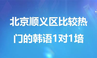北京顺义区比较热门的韩语1对1培训班
