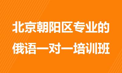 北京朝阳区专业的俄语一对一培训班