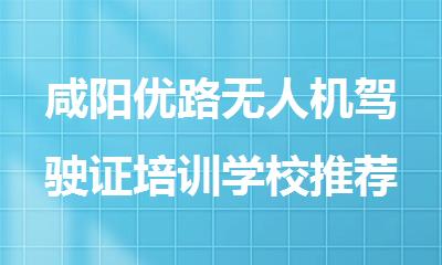 咸阳优路无人机驾驶证培训学校推荐
