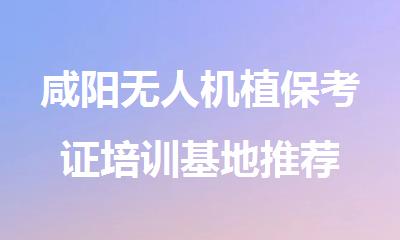 咸阳无人机植保考证培训基地推荐
