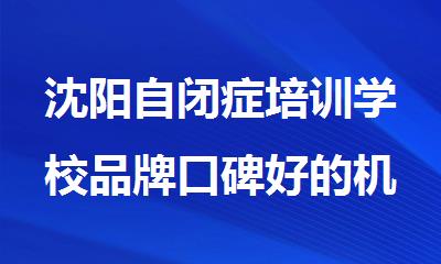 沈阳自闭症培训学校品牌口碑好的机构排行榜