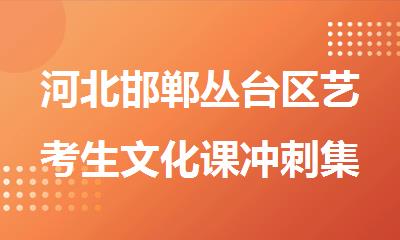河北邯郸丛台区艺考生文化课冲刺集训辅导班