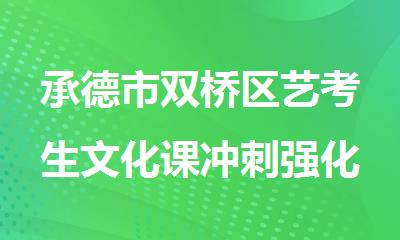 承德市双桥区艺考生文化课冲刺强化辅导机构