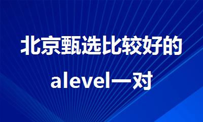 北京甄选比较好的alevel一对一培训班名单更新出炉