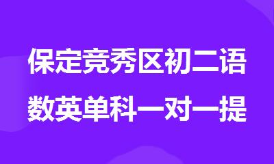 保定竞秀区初二语数英单科一对一提升补习班