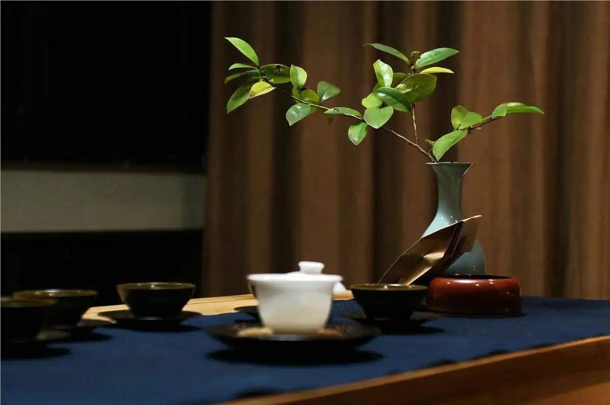 北京茶艺师考试培训机构人气榜首名单汇总